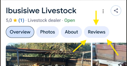 Where to click on Google to leave a review for Ibusisiwe Livestock — mobile view